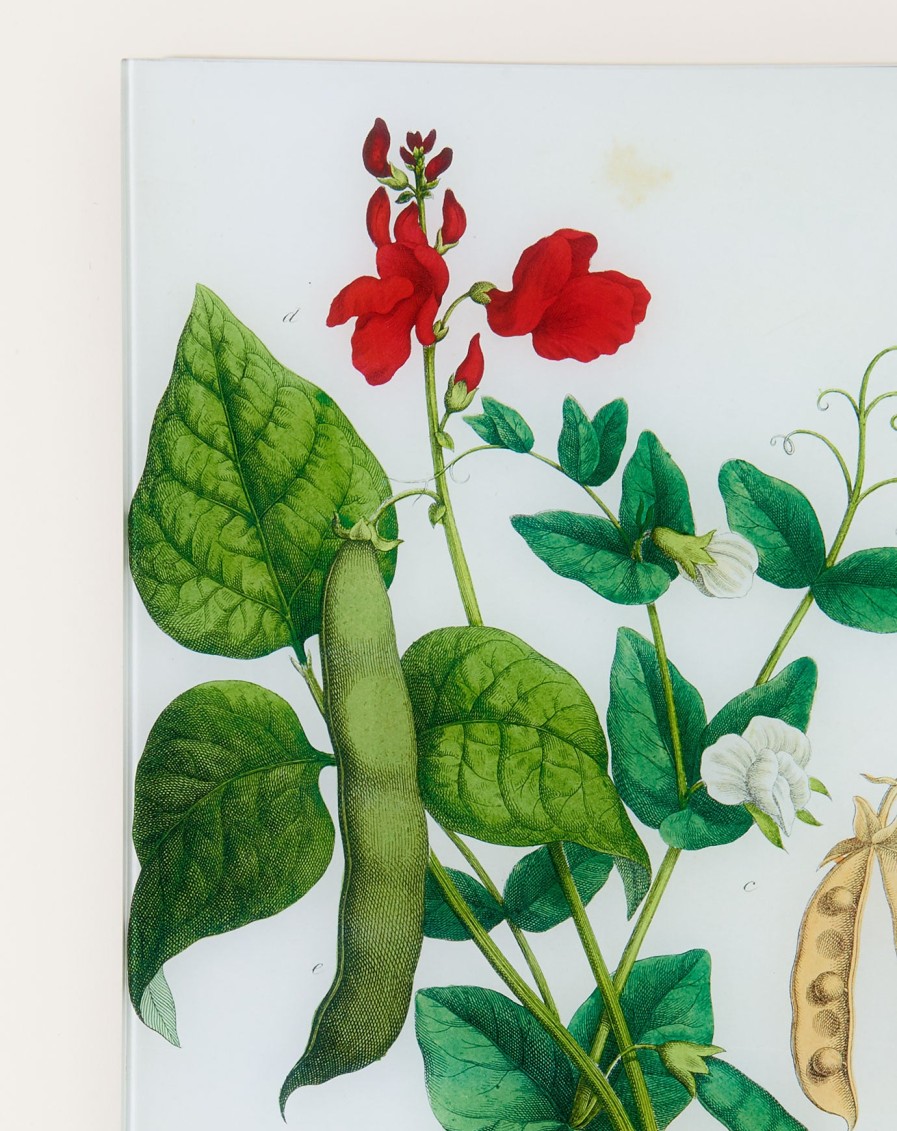 Home John Derian | Pea, Scarlet Runner, Bean (Kitchen Vegetables) Wall Tray