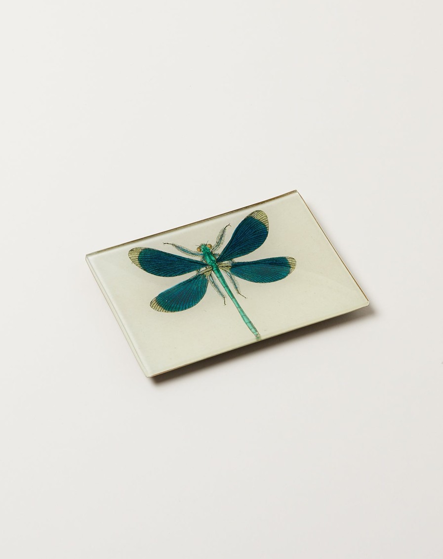 Home John Derian | Dragonfly Pin Up Tiny Tray