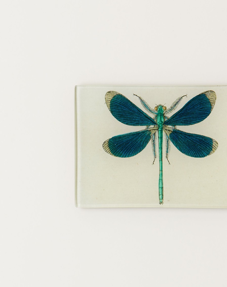 Home John Derian | Dragonfly Pin Up Tiny Tray