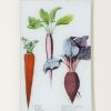 Home John Derian | Radish, Carrot, Beet (Kitchen Vegetables) Wall Tray